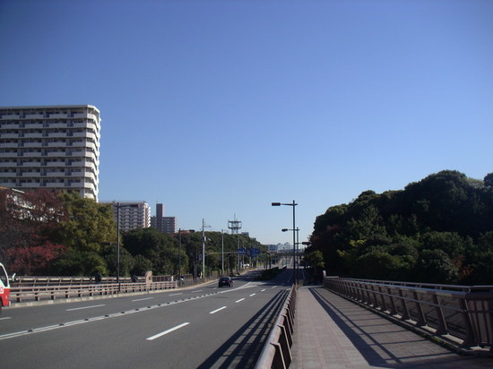 katsushima2.JPG