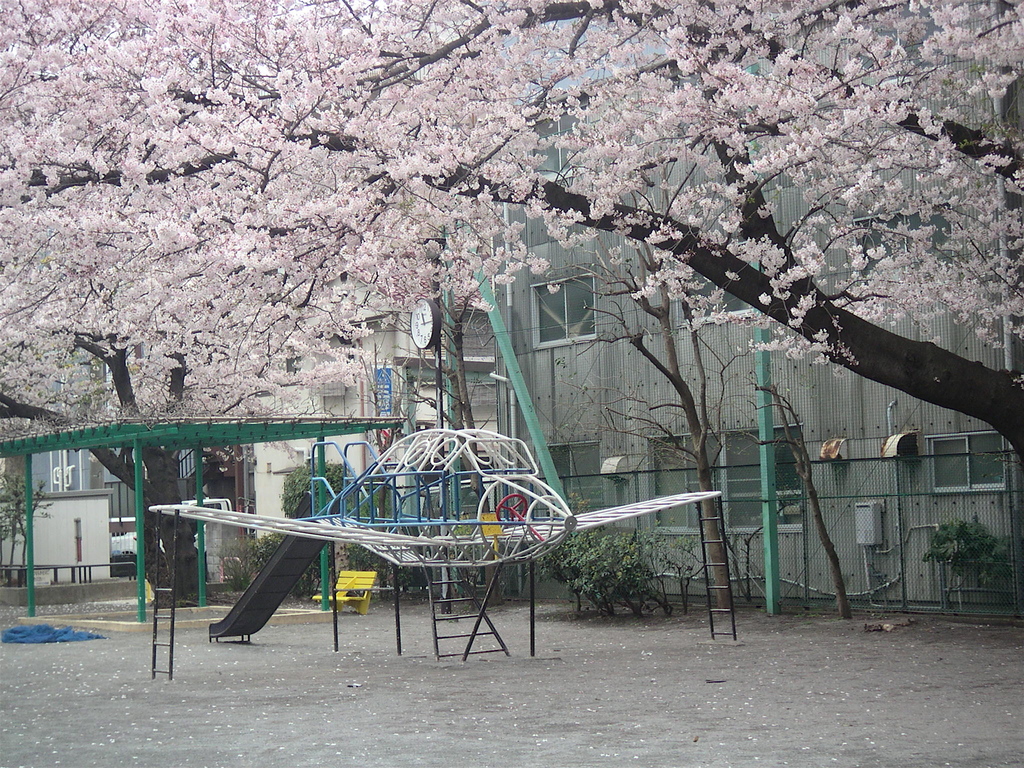 PICT0038.jpg