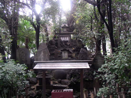 hanedafuji.JPG