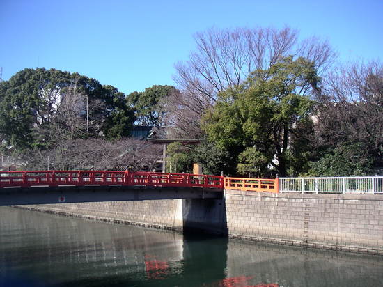 shina100.JPG